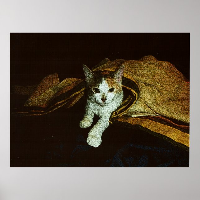 Póster Cariño de Gatito (Frente)