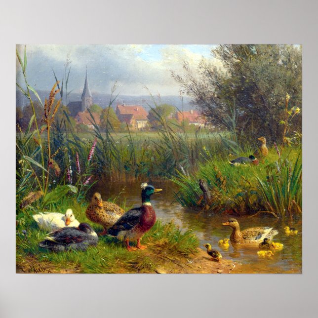 Póster Carl Jutz Ducks (Frente)