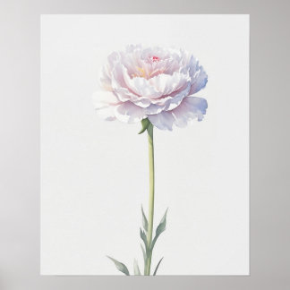 Póster Carnación de enero de las flores de nacimiento