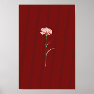 Póster Carnación rosa en rojo - Poster estético romántico