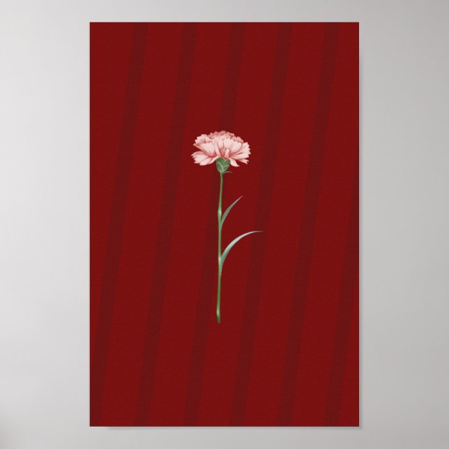 Póster Carnación rosa en rojo - Poster estético romántico (Frente)