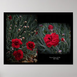 Póster Carnation Dianthus en la pared roja Art por Stan V