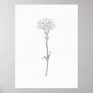 Póster Carnation Sketch Print