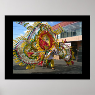 Póster Carnaval Trinidad 2010