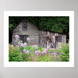 Póster Carolina Cabin