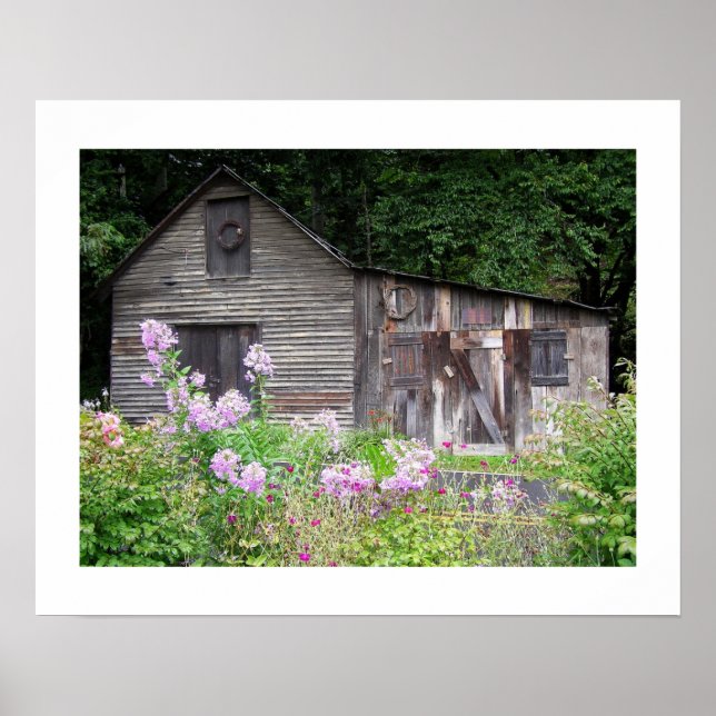 Póster Carolina Cabin (Frente)