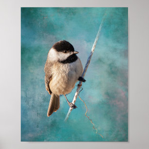 Póster Carolina Chickadee Poster