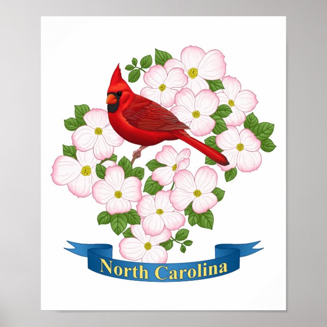 Póster Carolina del Norte Cardenal Estatal Bird Dogwood F (Frente)