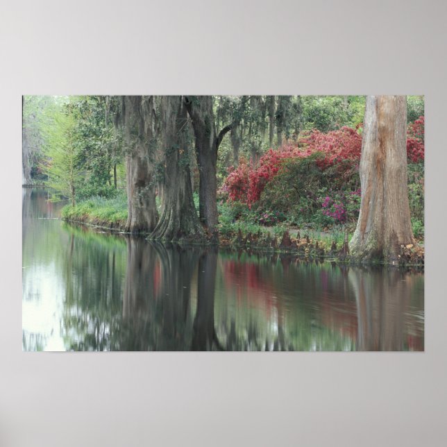 Póster Carolina del Sur, Charleston (Frente)