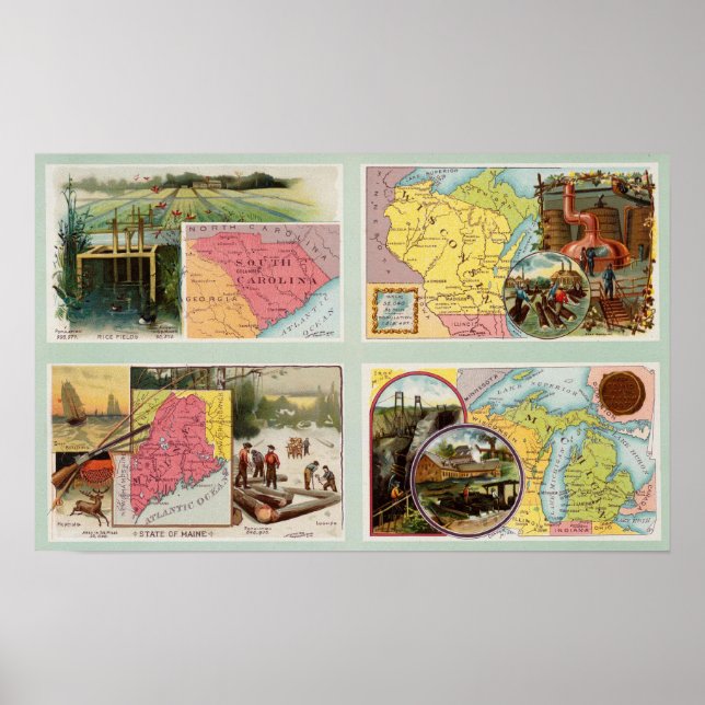Póster Carolina del Sur, Wisconsin, Maine, Michigan (Frente)