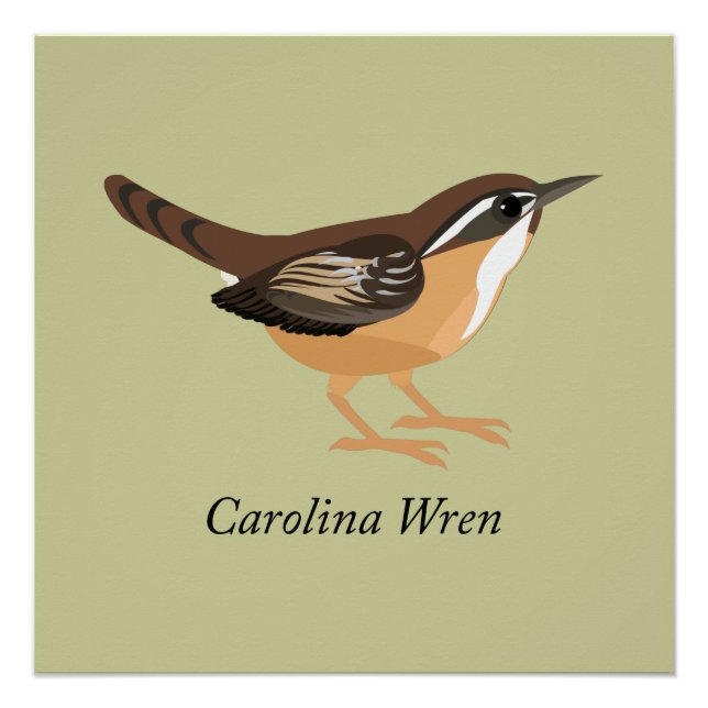 Póster Carolina Wren (Anverso)
