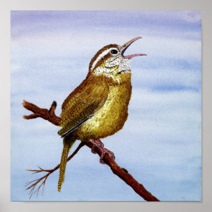 Póster Carolina Wren Art