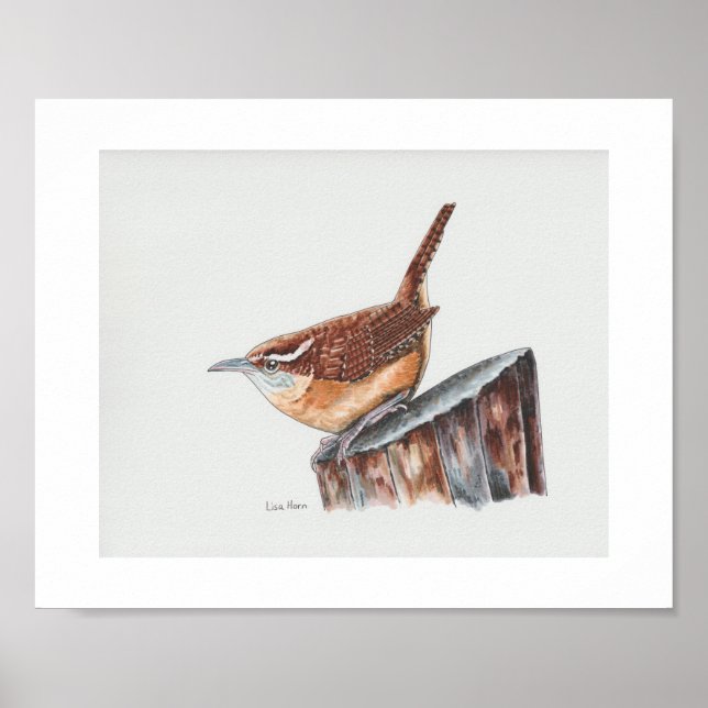 Póster Carolina Wren Art Print (Frente)