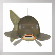 Carpa común - Cabeza de pescado