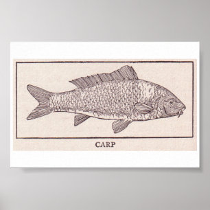 Póster Carpa del vintage