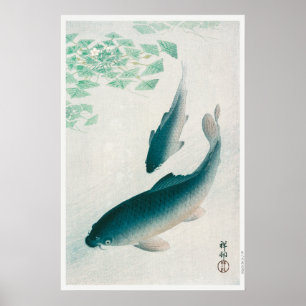 Póster Carpa o Koi (1926) de Ohara Koson