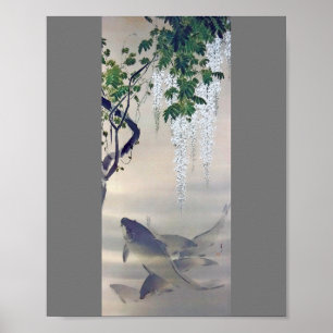 Póster Carpa y glicinia blanca, Watanabe Seitei