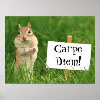 Póster Carpe Diem Chipmunk con Poster de Rótulo