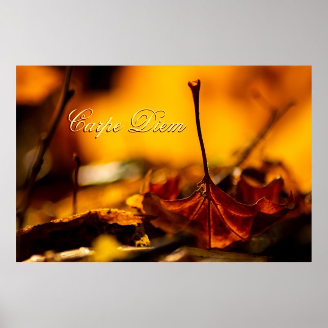 Póster Carpe Diem personalizable con hoja colorida (Frente)