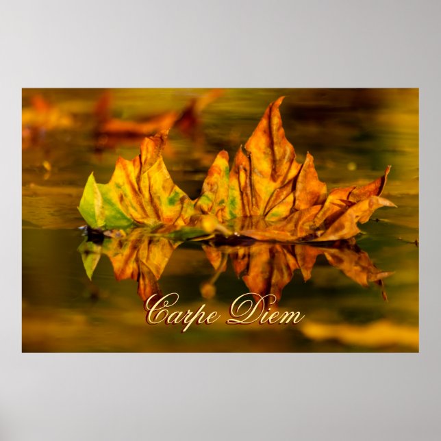 Póster Carpe diem personalizado con hoja de color Poste (Frente)