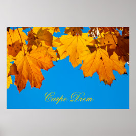 Póster Carpe diem personalizado con hoja de color Poste
