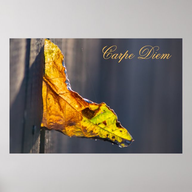 Póster Carpe diem personalizado con hoja de color Poste (Frente)