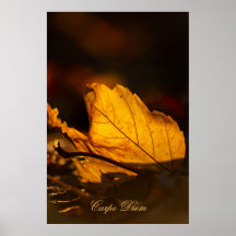 Carpe diem personalizado con hoja de color Poste