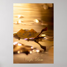 Carpe diem personalizado con hoja de color Poste