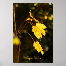 Carpe diem personalizado con hoja de color Poste