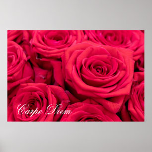 Póster Carpe diem personalizado con Poster de rosas rojas