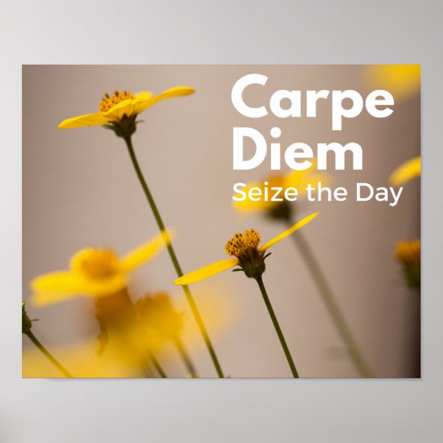 Póster Carpe Diem se apropia del día Poster (Frente)