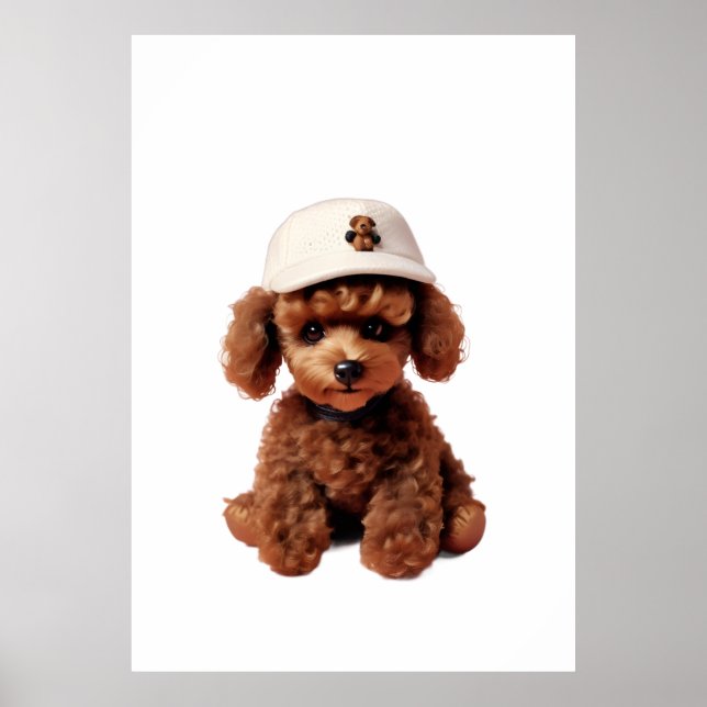 Póster Carpeta de Mini Caniche de Chocolate Suave (Frente)