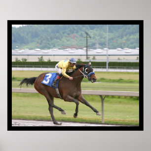 Póster Carrera de caballos