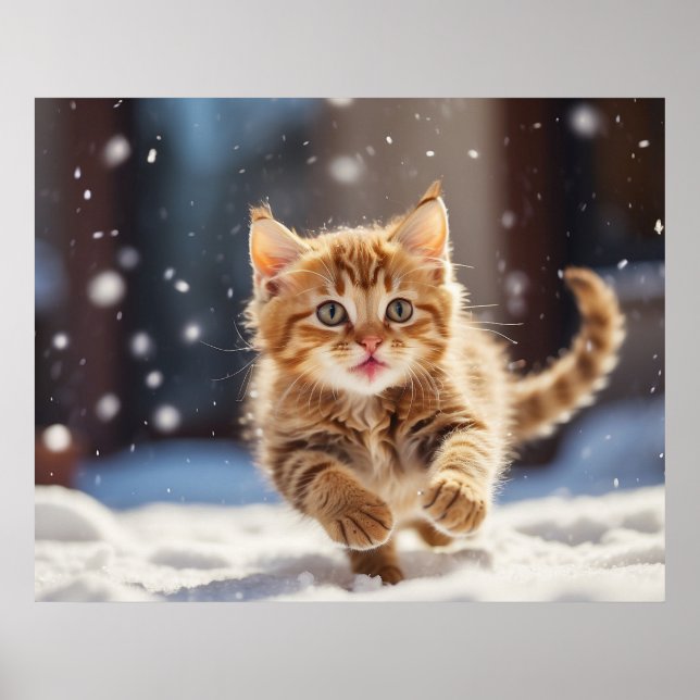 Póster *~* Carrera de nieve Kitty 5:4 Gato de gatitos AP6 (Frente)