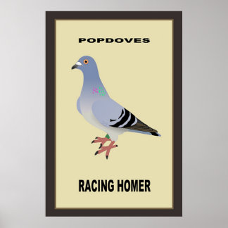 Póster Carreras belga Homer Poster