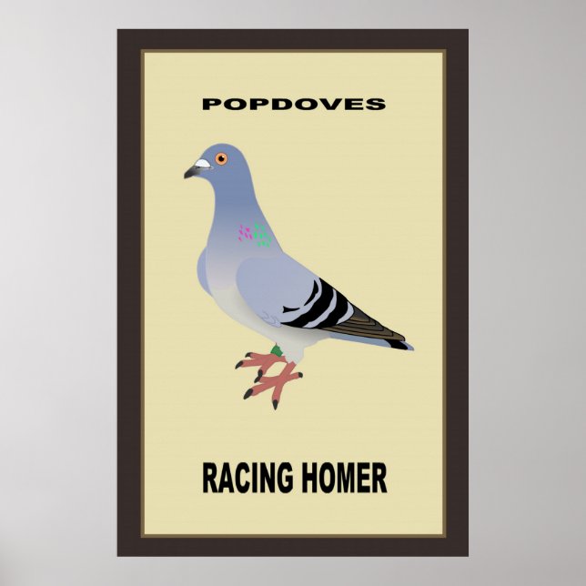 Póster Carreras belga Homer Poster (Frente)