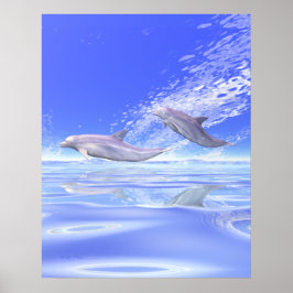Póster Carreras de delfines