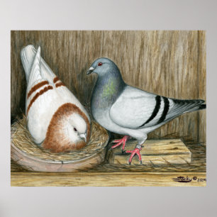 Póster Carreras Hogar Vida