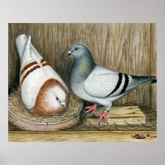 Póster Carreras Hogar Vida (Frente)