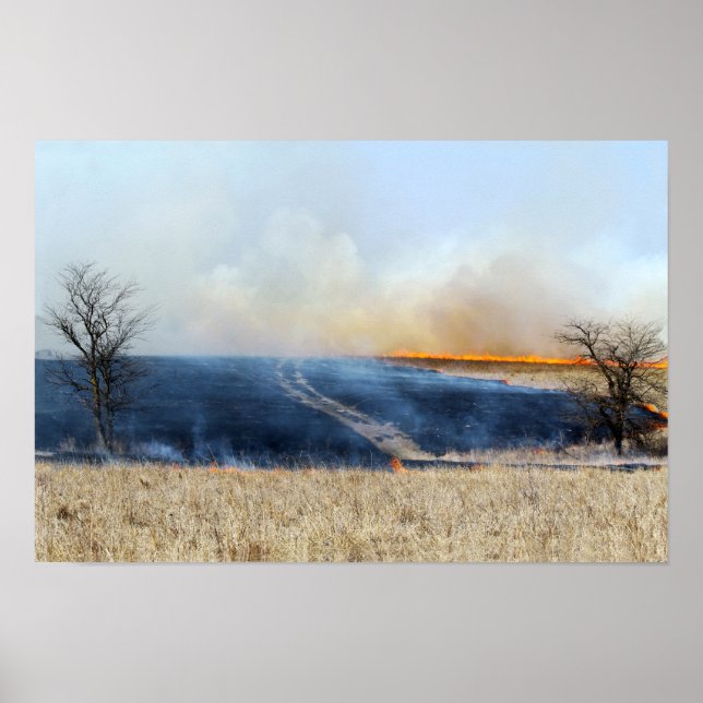 Póster Carretera a través de la quema de pradera (Frente)