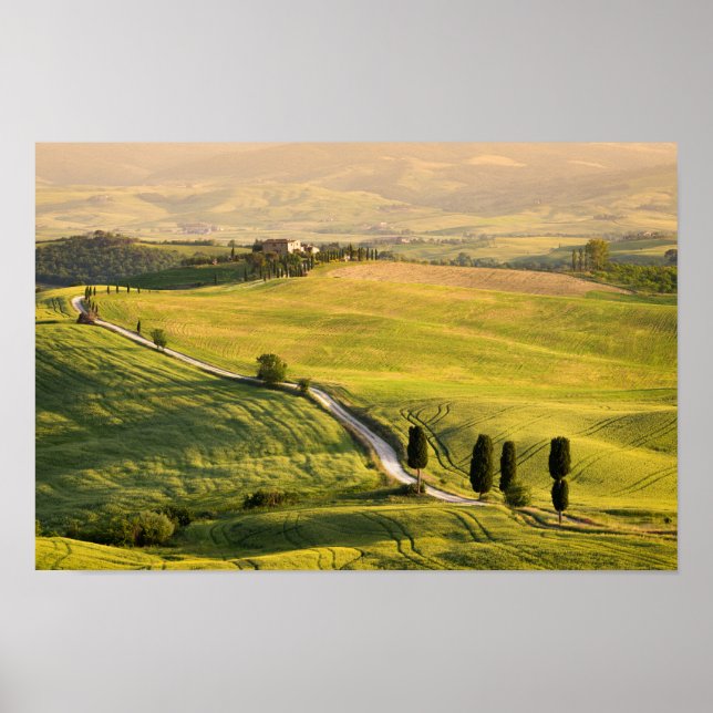 Póster Carretera blanca en el poster paisajístico toscano (Frente)