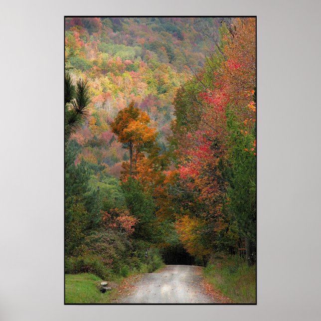 Póster Carretera de campo (Frente)