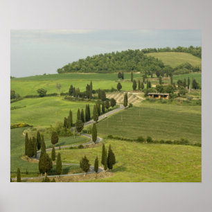 Póster Carretera de Pienza a Montepulciano,