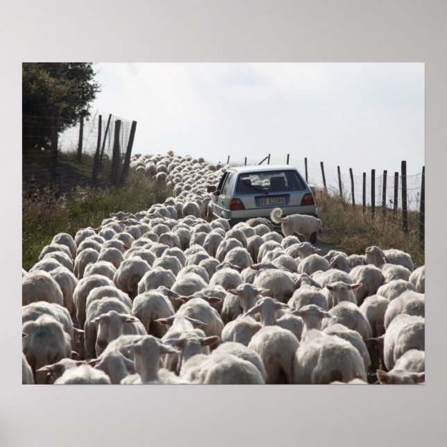 Póster carretera de tierras de cultivo toscana, auto bloq (Frente)