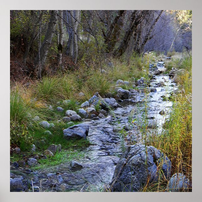 Póster Carretera East Fork/Hayfork...... (Frente)