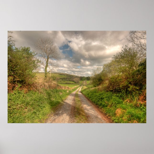 Póster Carretera irlandesa rural (Frente)