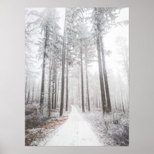 Póster Carretera misteriosa en un bosque helado y brumoso
