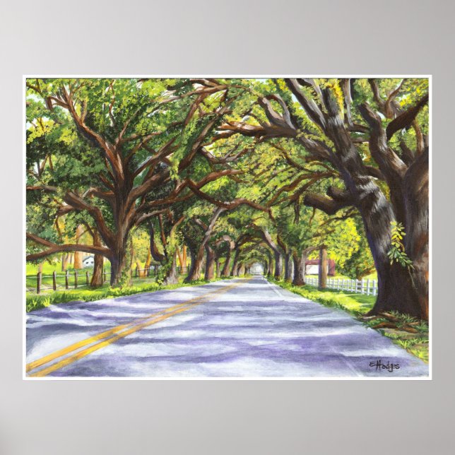 Póster Carretera Oak Lining (Frente)