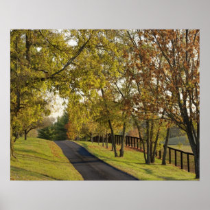 Póster Carretera rural a través de la región Bluegrass de