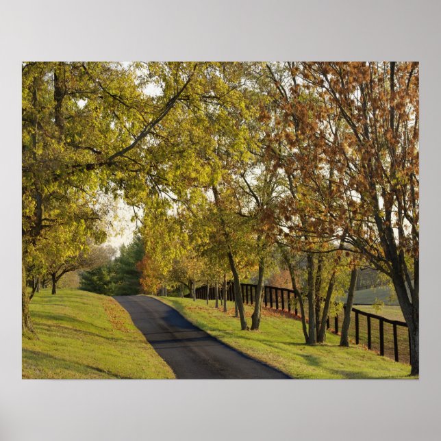 Póster Carretera rural a través de la región Bluegrass de (Frente)